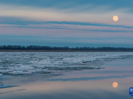 今年“个头”最大的“超级月亮”来啦