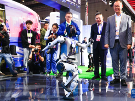 第八届进博会丨中国馆精彩亮相